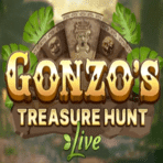 Gonzo’s Treasure