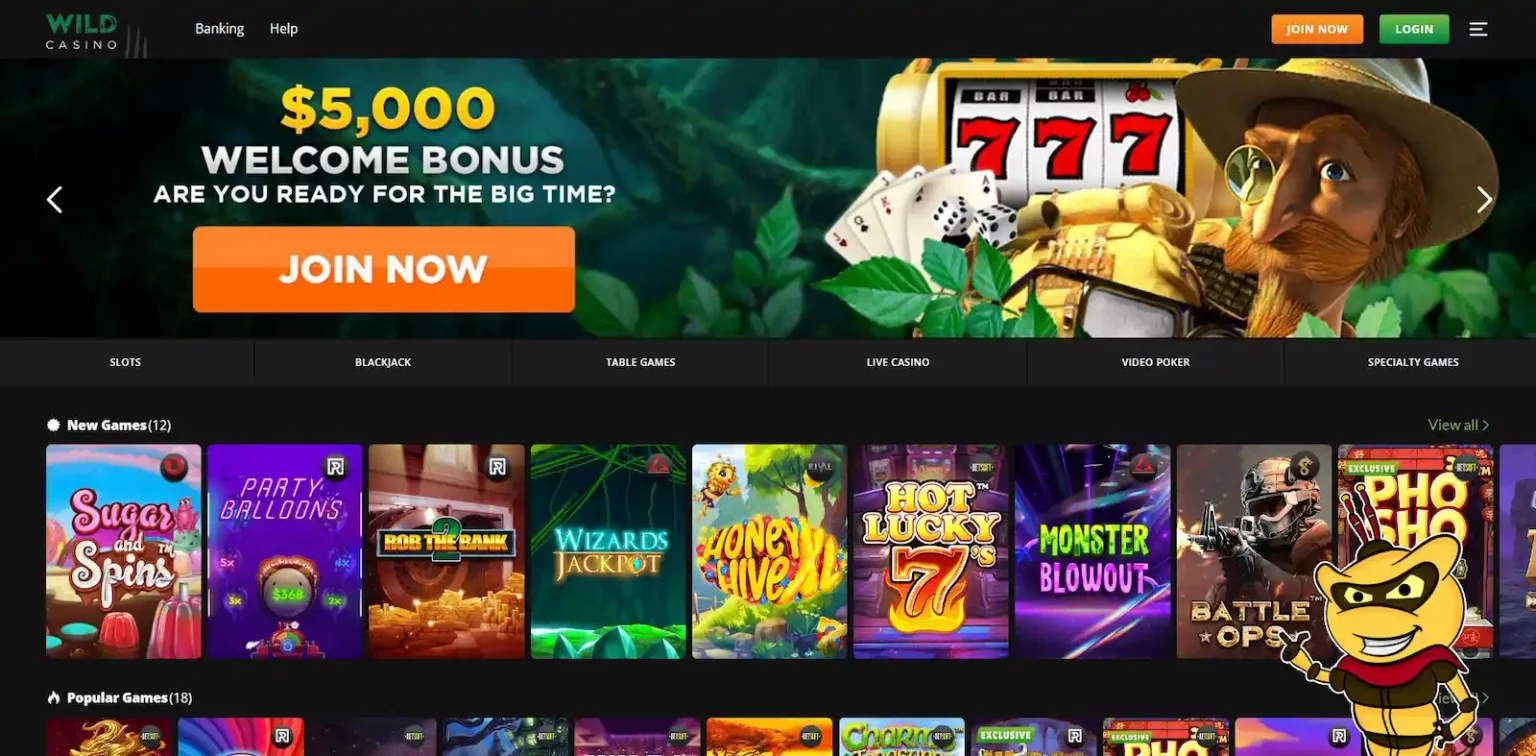 Unleash Your Wild Side at Wild Casino